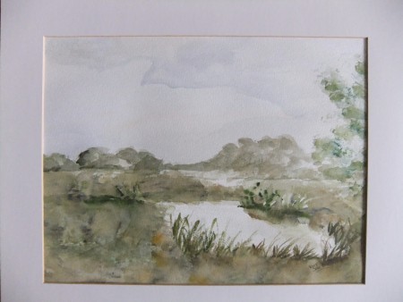 De Peel, 2005, aquarel